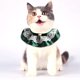 thumbnail image 1 of Collar navideño para perro y gato, con lazo de terciopelo, babero para mascota, bufandas bonitas, collar con correa para el cuello, suministros para disfraces de mascotas (verde), 1 of 5