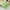 Grass, variant on QIPOPIQ Toddler Kids Slippers Cute Animal Cartoon Shoes Girls Boys Warm Fleece Winter Household Slippers Clearance