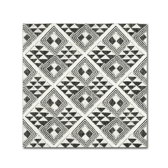 Trademark Fine Art 'African Wild Pattern II BW' Canvas Art by Wild Apple Portfolio