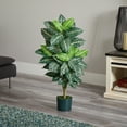 thumbnail image 6 of Nearly Natural 3ft. Zebra Artificial Plant in Pot, 6 of 8