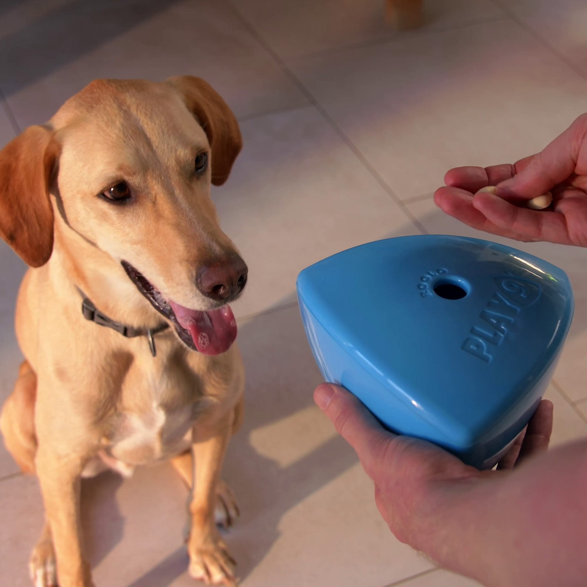 Roolo Enrichment Bopping Ball Interactive Treat Dispensing Dog Toy for Mental Stimulation