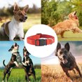 thumbnail image 5 of Apuakthei The Dapper Dog tiene un collar ajustable para perros pequeños, 5 of 5