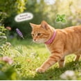 thumbnail image 6 of JUELEO 2-Pack Adjustable Fl`ea and Ti`ck Collars for Cats, One Size Fits Most Breeds, Waterproof, 6 of 10