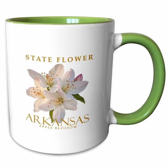 3drose, State Flower Arkansas Apple Blossom Floral Design, 11oz Two-tone Green Mug