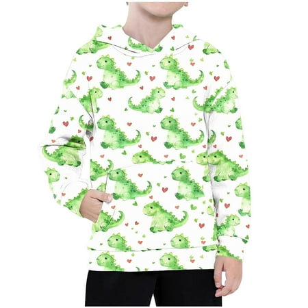 

Kids Dinosaur Hoodies for Boys Long Sleeve Pullover Hooded Sweatshirts With Pocket Fashion Fall Casual Loose Lightweight Shirts