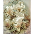 thumbnail image 3 of Ryan, Brooke T. 12x14 Black Modern Framed Museum Art Print Titled - Vintage Inspired Magnolias, 3 of 5