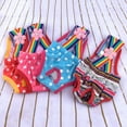 thumbnail image 5 of Pet Physiological Pants Polka Dot Striped Female Dog Underwear Sanitary Diaper, 5 of 8
