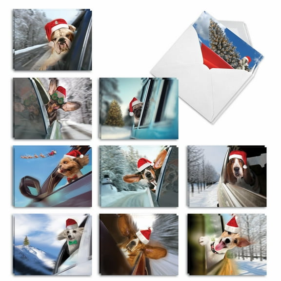 20 Merry Christmas Cards Assorted (10 Designs, 2 Each) - Holiday Doggie in the Window Merry Christmas (4" x 5.12") AM6481XSG-B2x10