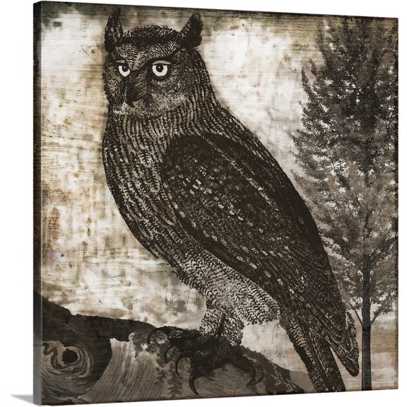 Great BIG Canvas | Color Bakery Premium Thick-Wrap Canvas entitled Owl II