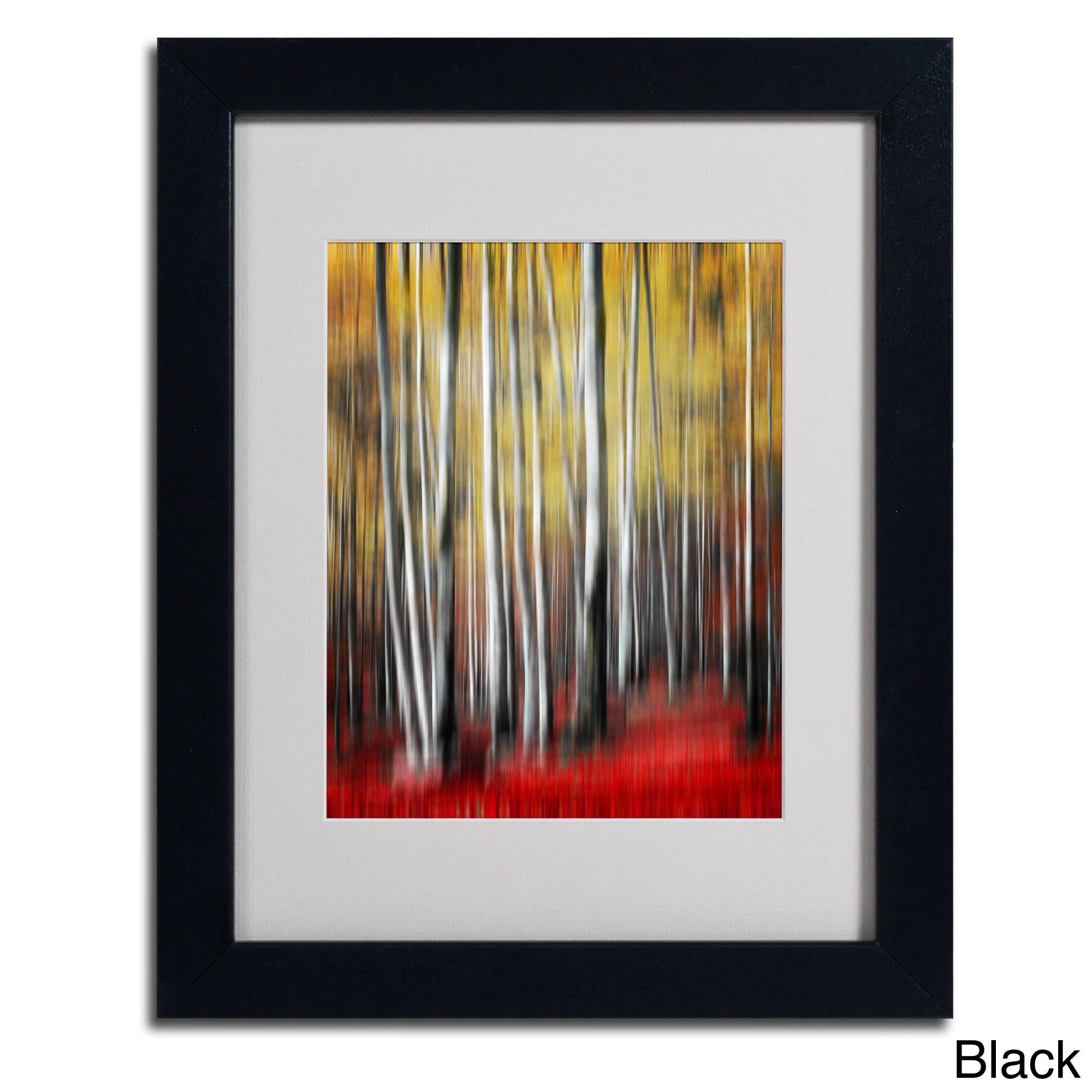 Trademark Fine Art "Osmosis" Canvas Art by Philippe Sainte-Laudy, Wood Frame