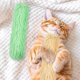 thumbnail image 2 of 3 piezas de juguete interactivo para dientes de gato con menta de gato y almohada arrugada de peluche para gatos de interior, gatitos, rasguños, masticación, rechinamiento de dientes (verde, 2 of 4
