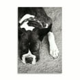 thumbnail image 2 of Gango Home Decor Boxer Black and White by Karyn Millet (Printed on Paper); One 24x36in Fine Art Paper Giclee Print, 2 of 4