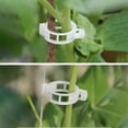 thumbnail image 2 of LYCAQL 100pcs Tomato Clips, Trellis Clips, Garden Support for Vine, Grow Upright and Make Healthier, 2 of 7