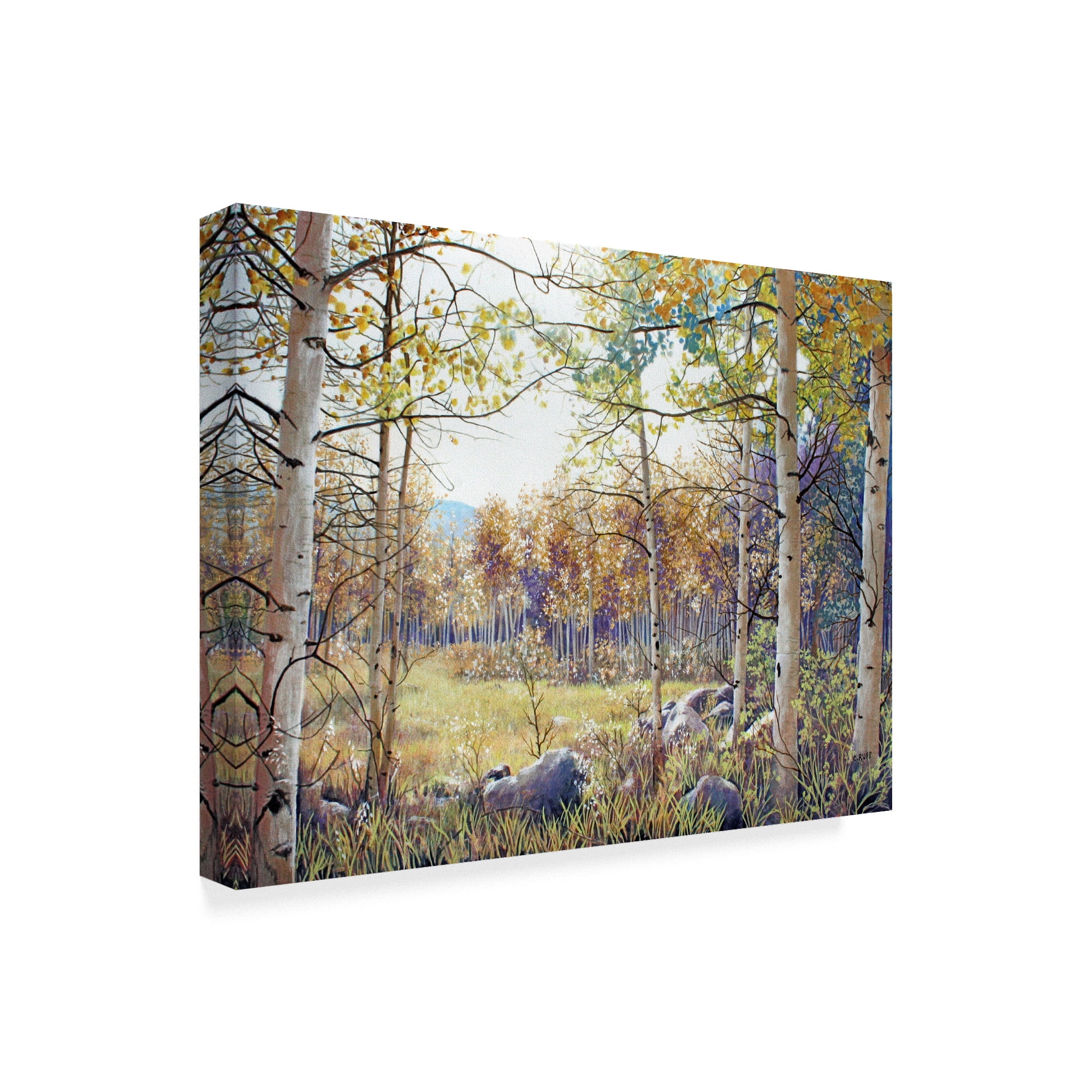 Trademark Fine Art 'Valley of the Utes Autumn' Canvas Art by Carol J Rupp