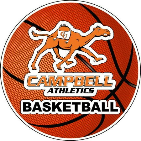 camels fighting