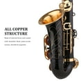 Abody Saxophone Black Paint EFlat Sax for Beginner Brass Eb Alto Saxophone with Carrying Case