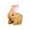 Q, variant on HaCpiu Easter Bunny Realistic Bunny Toy, 7" Multicolor Rabbit Toys, Moving and Making Sounds Bunny Stuffed Animal Toys, Easter Basket Stuffers Easter Gifts for Friends