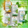 thumbnail image 2 of Hyleys Japanese Pure Matcha Green Tea Ginger Flavor - 150 Tea Bags (6 Pack), 2 of 6