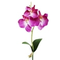 thumbnail image 3 of RotHome Artificial Orchid Stems Real Touch Phalaenopsis Purple Flowers, Faux Orchid Silk Floral Arrangements for Indoor Office and Living Room Decor, 1 Pack, 3 of 4