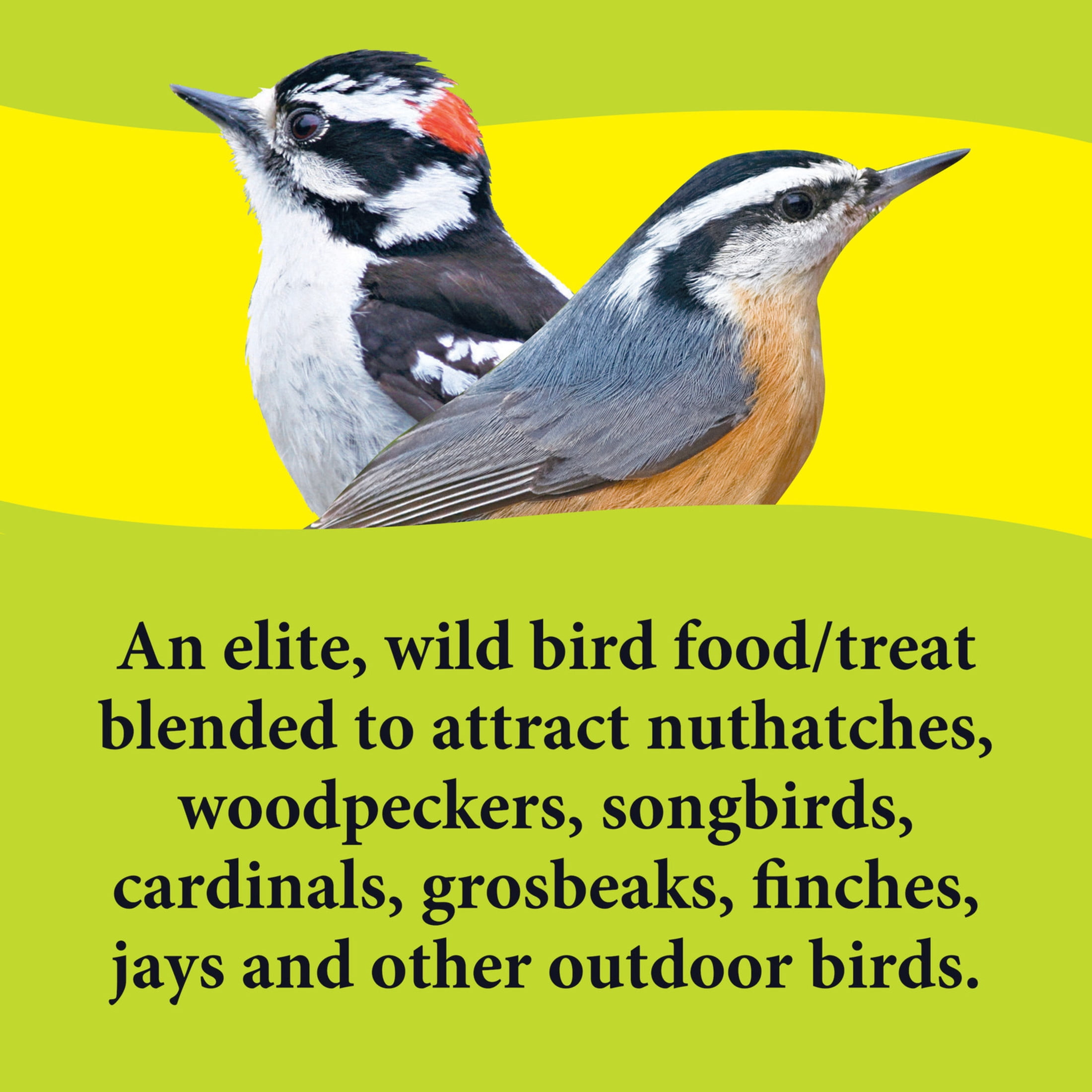 (2 pack) 3-D Pet Products Deck Porch and Patio Wild Bird Food Block, Dry, 16 oz. Block, 1 Pack
