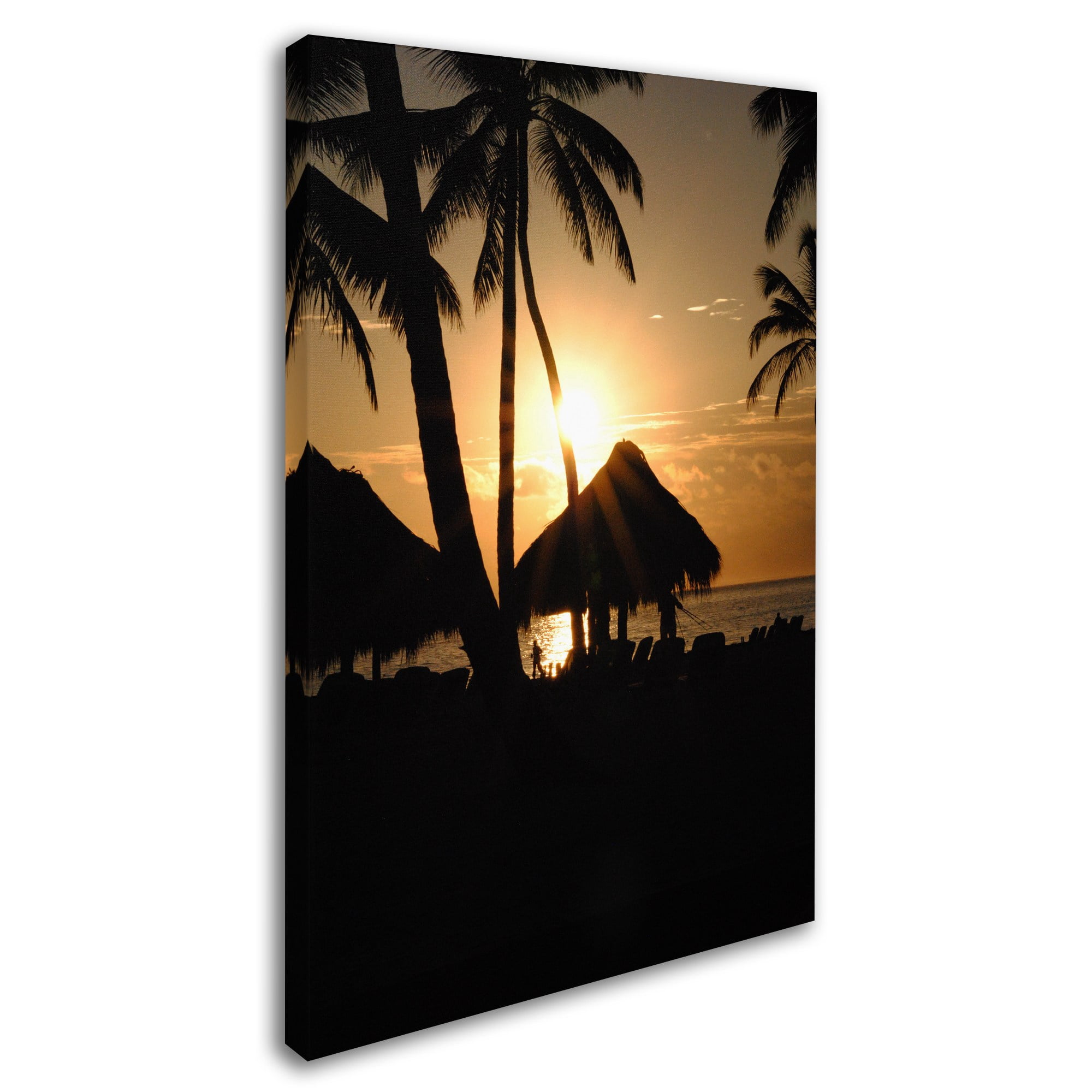 Trademark Fine Art "Majical" Canvas Art by Monica Mize
