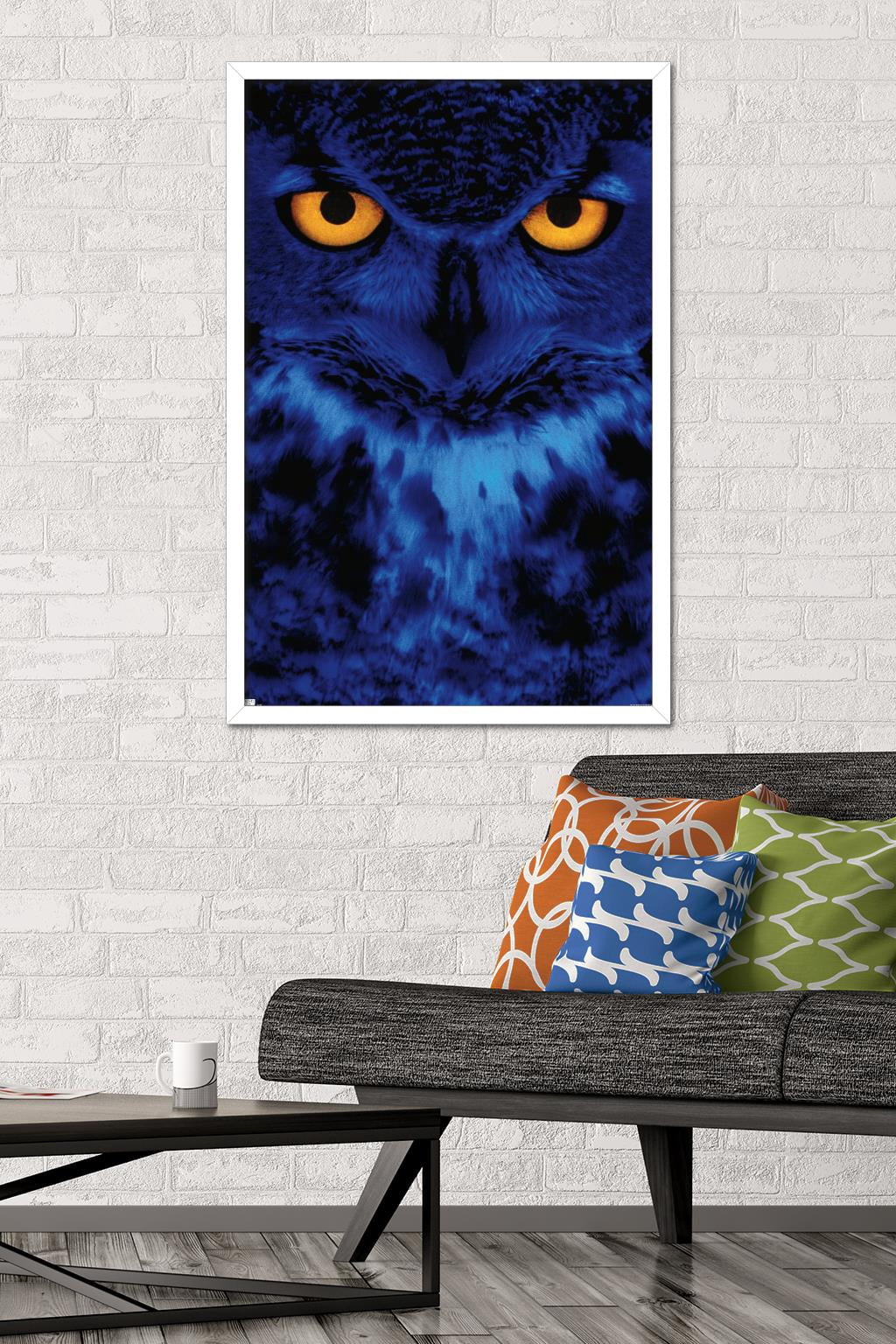 Owl - Eyes Wall Poster, 22.375" x 34", Framed