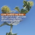 thumbnail image 4 of Protector Solar Yves Rocher FPS 50 Atenuador de Arrugas, 4 of 4