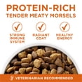 thumbnail image 4 of Purina ONE Plus Healthy Weight Dog Food Dry Formula, 8 lb., 4 of 12