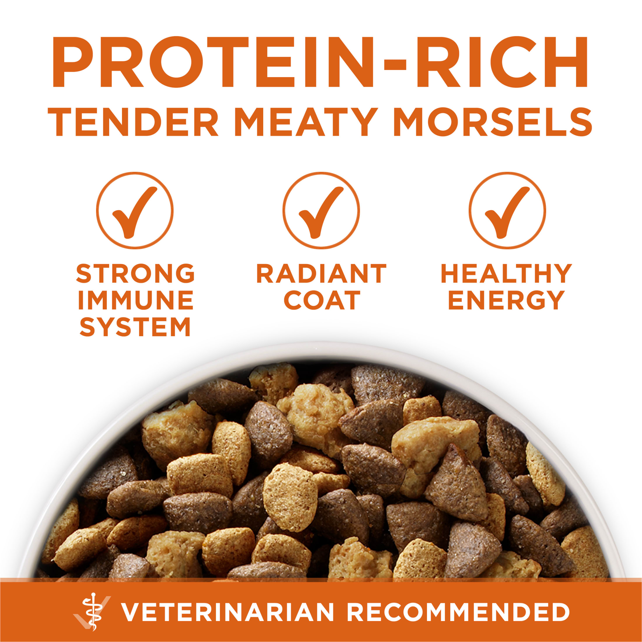 Purina One Plus High Protein Healthy Weight Dry Dog Food, 16.5 lb photo 3