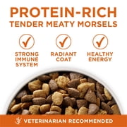Purina ONE Plus Healthy Weight Dog Food Dry Formula, 8 lb.
