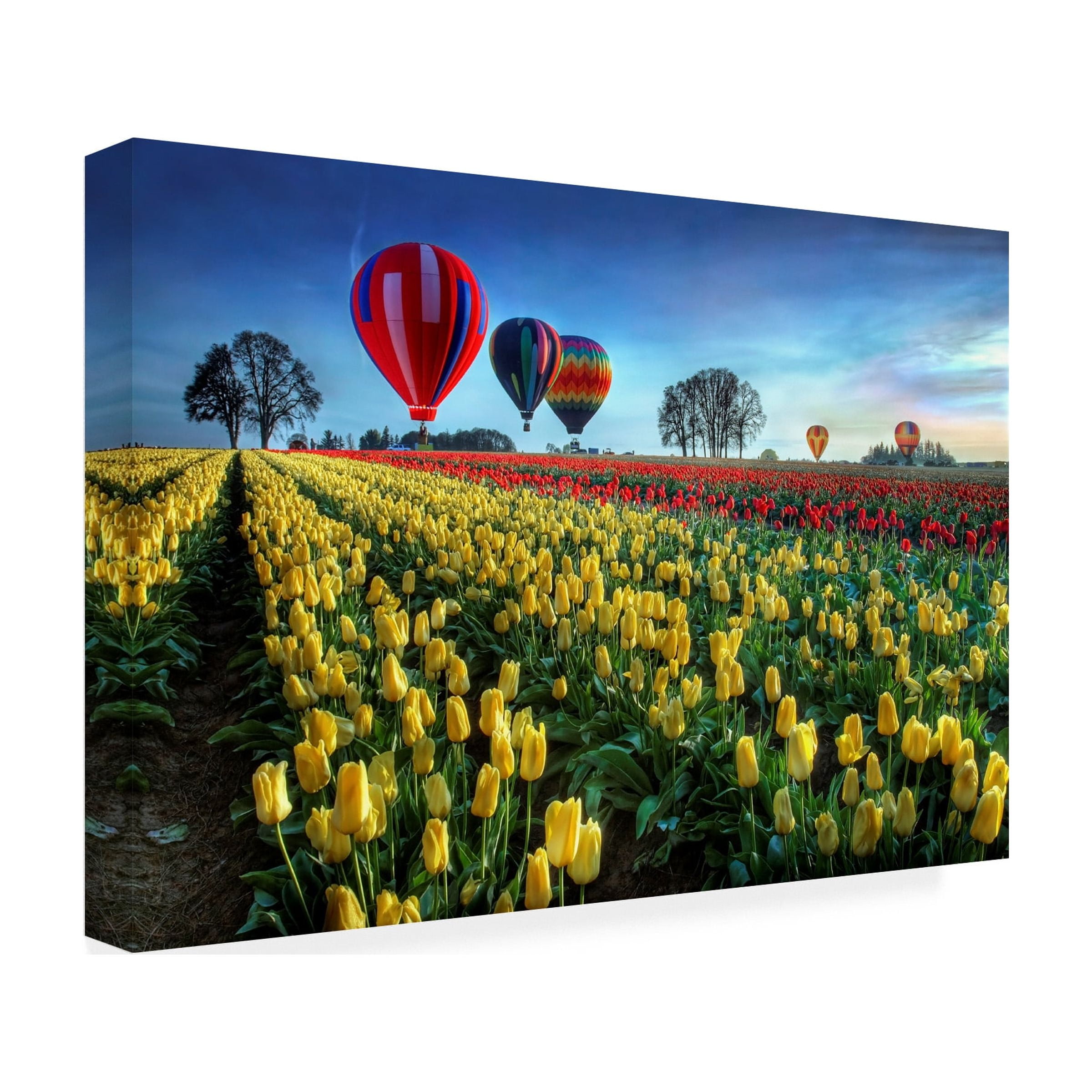 William Lee 'Hot Air Balloons Over Tulip Field' Canvas Art