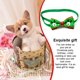 thumbnail image 5 of Collar de pajarita para mascotas Methold tipo 11, 5 of 6