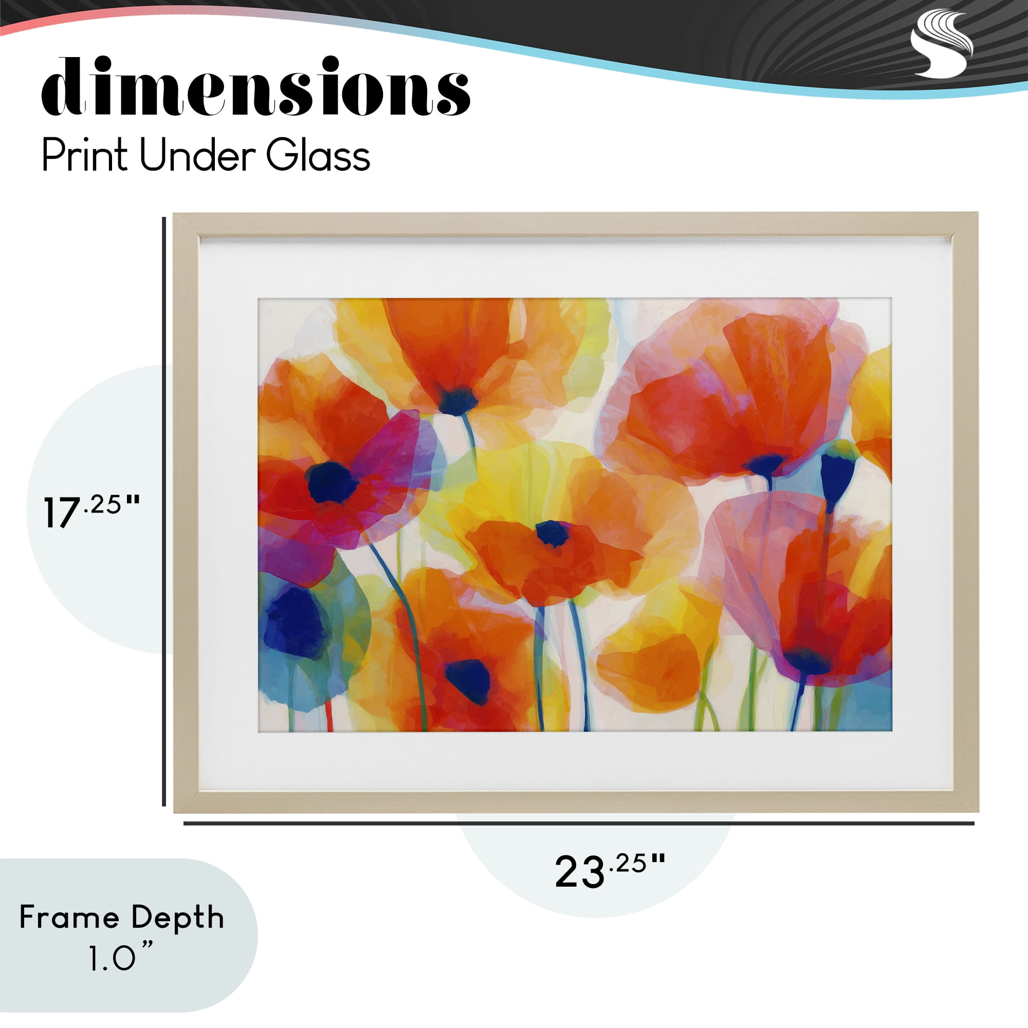 Stupell Industries Poppies At Golden Hour Birch Framed Print Under Glass, design by Chromatic Storm Studio