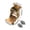 🔥 C_New#534, variant on Folding Table Bracket Heavy Duty Locking Hinge Set with Screws for Furniture Legs Extension Support Workbench Cabinet DIY