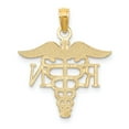 thumbnail image 4 of FB Jewels 14K Yellow Gold Registered Nurse RN Caduceus Pendant, 4 of 4