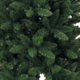 thumbnail image 2 of Kurt Adler 6-Foot Green Pine Tree, 2 of 2