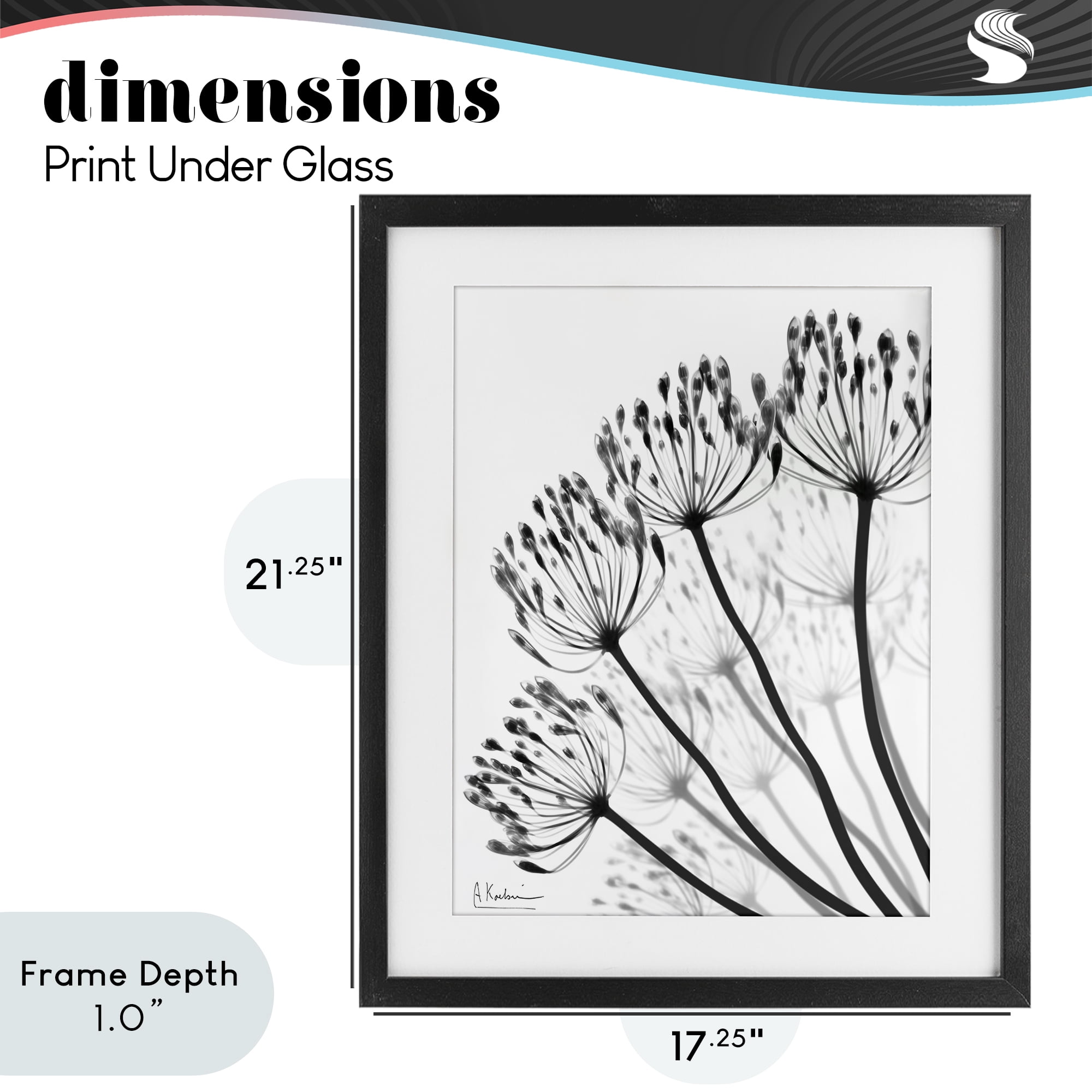Stupell Industries Floral Fan Dandelions Black Framed Print Under Glass, design by Albert Koetsier