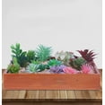 thumbnail image 5 of Trianu 14 Pcs Artificial Succulents Plants Unpotted Green Hops String of Pearls Echeveria Air Plant Picks Fake Succulents Bulk for Succulent Garden Arrangement Centerpiece Indoor Outdoor Home Decor, 5 of 9