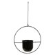 thumbnail image 2 of Maceta colgante de pared para jardín o patio interior/exterior. Negro, 2 of 8