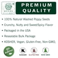 thumbnail image 2 of SPICES VILLAGE Poppy Seeds [ 8 oz ] - Whole Poppy Seeds for Baking, Bagels, Muffins, Cookies, Washed Poppy Seeds for Bakery & Pastry - Kosher, Gluten Free, Non GMO, Resealable Bulk Bag, 2 of 7