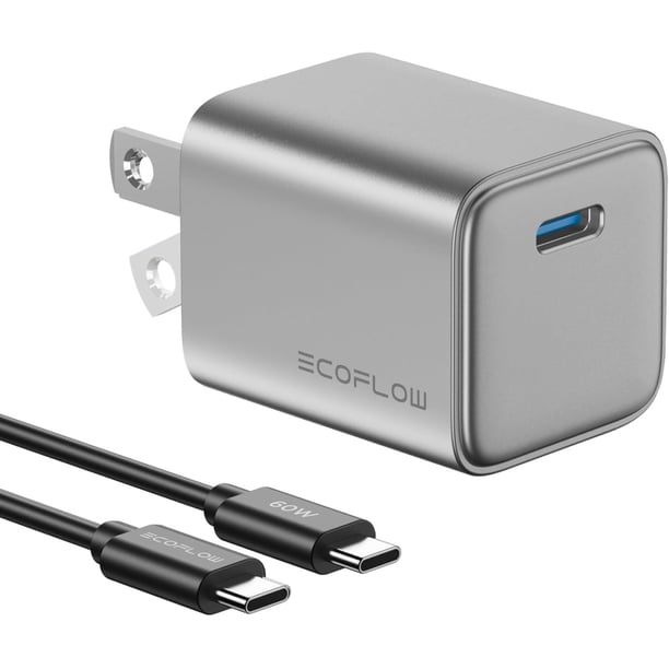 EF ECOFLOW Cargador USB C, Carga GAN Rapid de 30 W Tipo C con Enchufe Plegable, Cargador Rápido de P