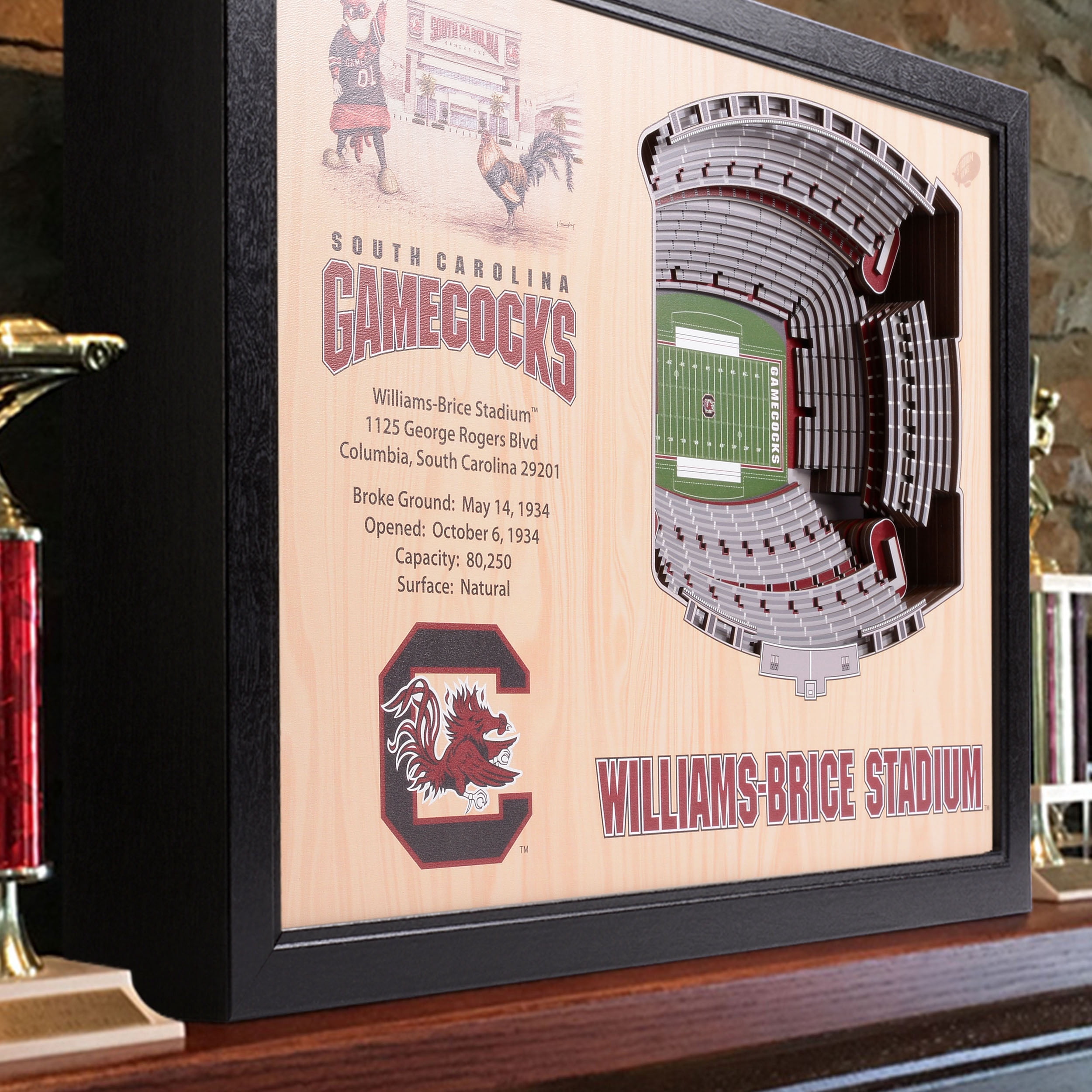 YouTheFan NCAA S Carolina Gamecocks FB 25-Layer Stadiumview Wall Art