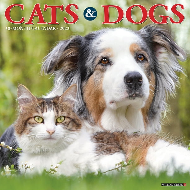 Cats & Dogs 2022 Wall Calendar (Other) - Walmart.com