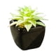 thumbnail image 5 of Suculentas artificiales Bearachild en macetas de cerámica negra tipo 2 2Conjunto, 5 of 6