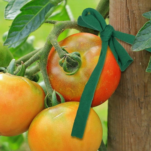 Toyvian Garden Tree Support Strap Green Durable Wear Resistant Tree Ties for Wind and Plant Stabilizing