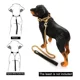 thumbnail image 2 of Collar De Martingala Dorado Para Perro, Cadena De Metal Con, 2 of 8