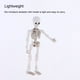thumbnail image 3 of Cateissary Mini Pose esqueleto muñeca perro Animal modelo alta dureza esqueleto huesos acción colección modelo decoraciones conjunto Decoración Niño Hombre Esqueleto, 3 of 6