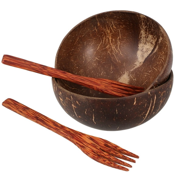 CIMAXIC Storage Bowl Coconut Shell Salad Bowl Natural Look General Users Camping 2 Sets