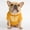 A746 Yellow XL, variant on Four Seasons Pet Clothes Pug Round Neck T Shirt Comfortable Cute Teddy Small Dog Cat Apparel Pet Clothes Birthday Gift For Pet Dog Cat L