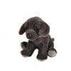 Wild Republic - Pocketkins - Chocolate Lab - 5"